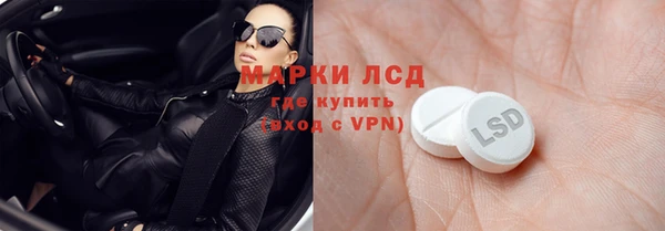 твердый Арсеньев