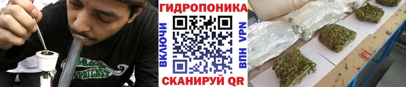 даркнет сайт  Сухой Лог  Шишки марихуана Amnesia 